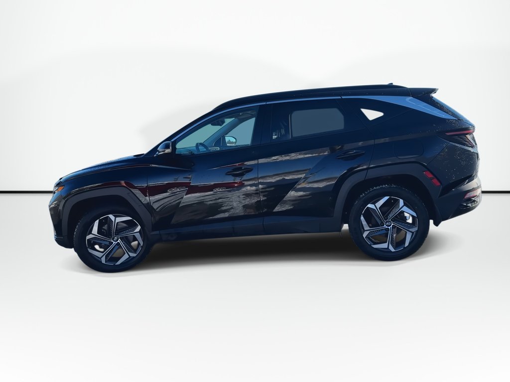 2022 Hyundai Tucson Hybrid Luxury | Roof | HtdSeats | Lthr | Warranty to 2030 in Saint John, New Brunswick - 5 - w1024h768px
