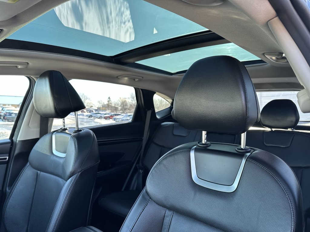 2022 Hyundai Tucson Hybrid Luxury | Roof | HtdSeats | Lthr | Warranty to 2030 in Saint John, New Brunswick - 50 - w1024h768px