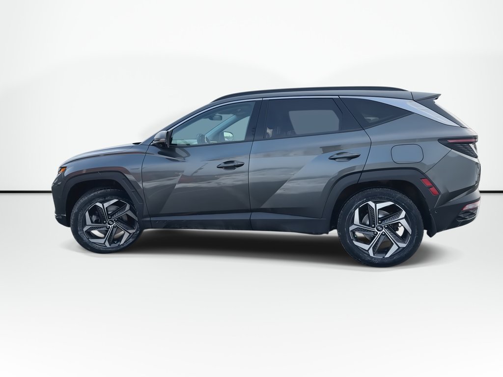 2022 Hyundai Tucson Hybrid in Antigonish, Nova Scotia - 5 - w1024h768px