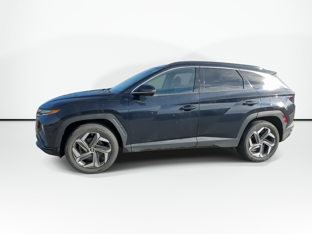 2022 Hyundai Tucson Hybrid in Antigonish, Nova Scotia - 7 - w1024h768px