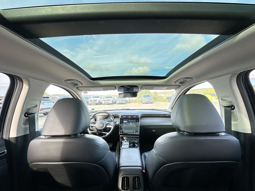 2022 Hyundai Tucson Hybrid in Antigonish, Nova Scotia - 50 - w1024h768px