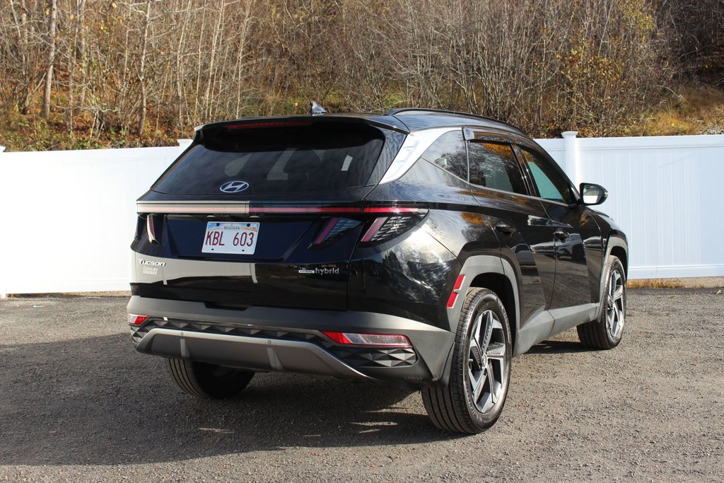 2023 Hyundai Tucson Hybrid in Antigonish, Nova Scotia - 7 - w1024h768px