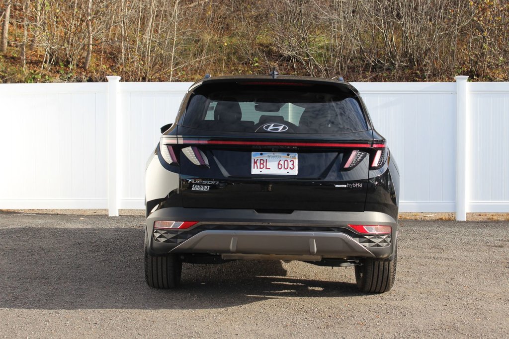 2023 Hyundai Tucson Hybrid in Antigonish, Nova Scotia - 6 - w1024h768px