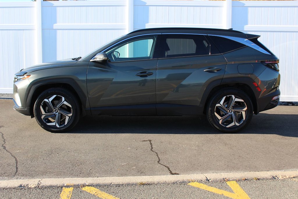 2023 Hyundai Tucson Hybrid in Antigonish, Nova Scotia - 4 - w1024h768px