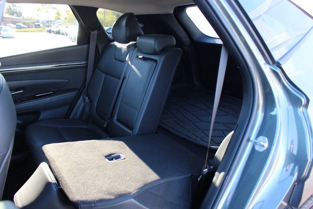 2023 Hyundai Tucson Hybrid in Antigonish, Nova Scotia - 45 - w1024h768px