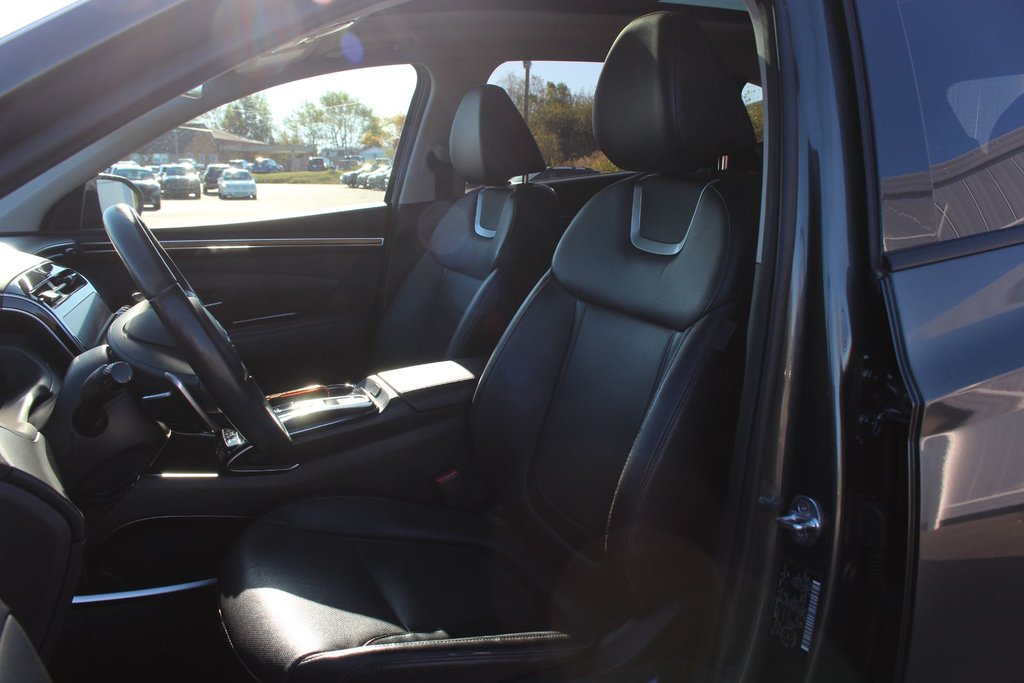 2023 Hyundai Tucson Hybrid in Antigonish, Nova Scotia - 9 - w1024h768px