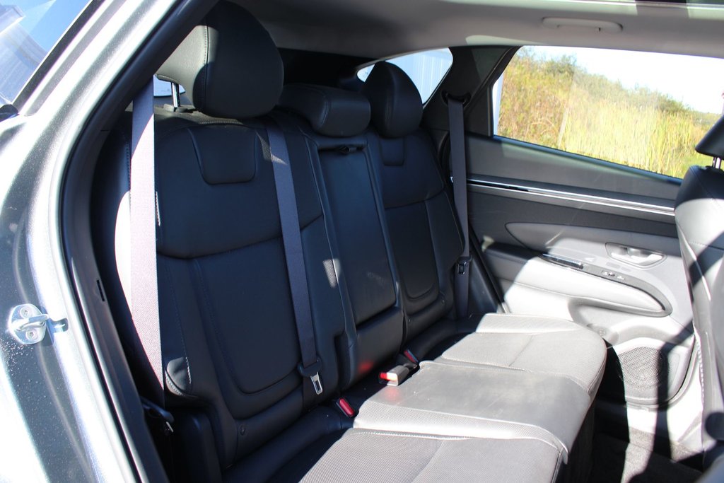 2023 Hyundai Tucson Hybrid in Antigonish, Nova Scotia - 50 - w1024h768px