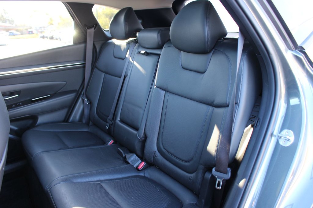 2023 Hyundai Tucson Hybrid in Antigonish, Nova Scotia - 44 - w1024h768px