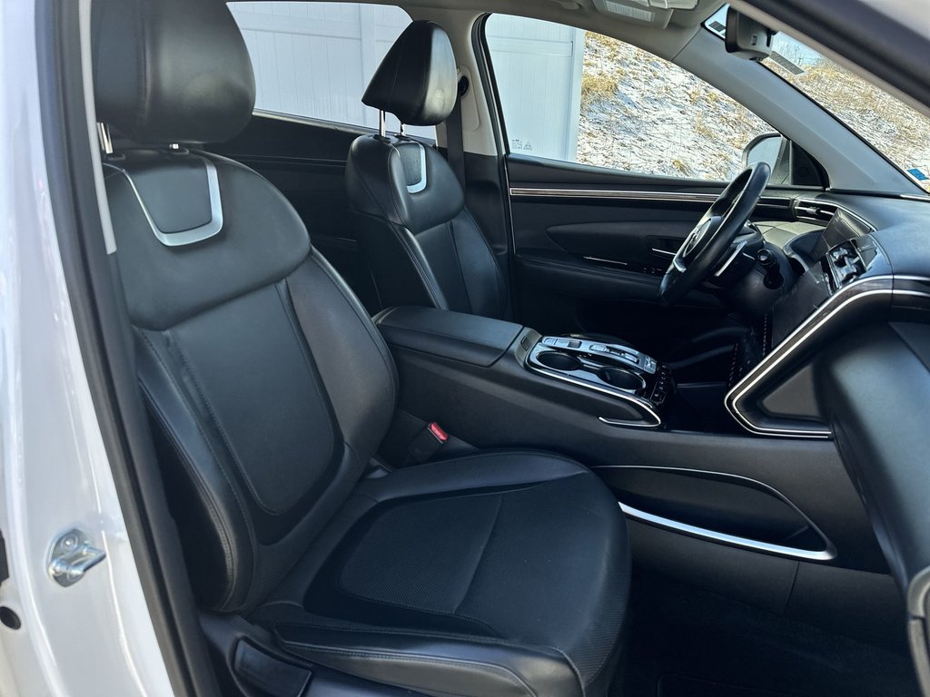 2023 Hyundai Tucson Hybrid Luxury | Roof | Cam | HtdSeat | Warranty to 2028 in Saint John, New Brunswick - 42 - w1024h768px