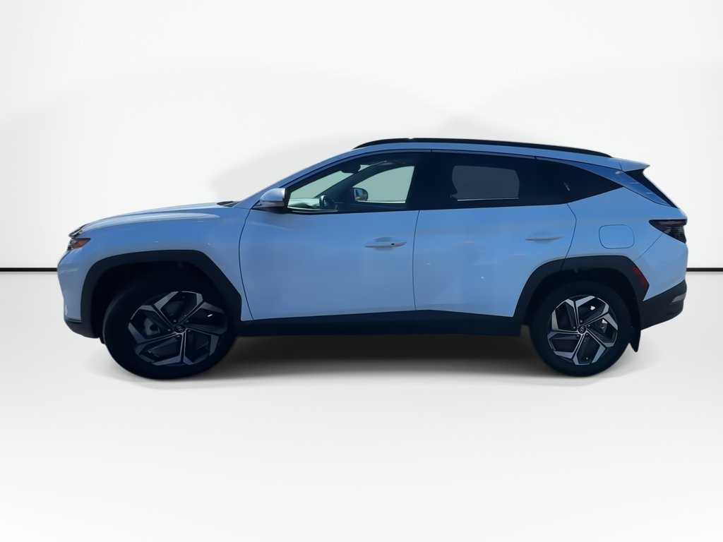 2023 Hyundai Tucson Hybrid in Antigonish, Nova Scotia - 5 - w1024h768px