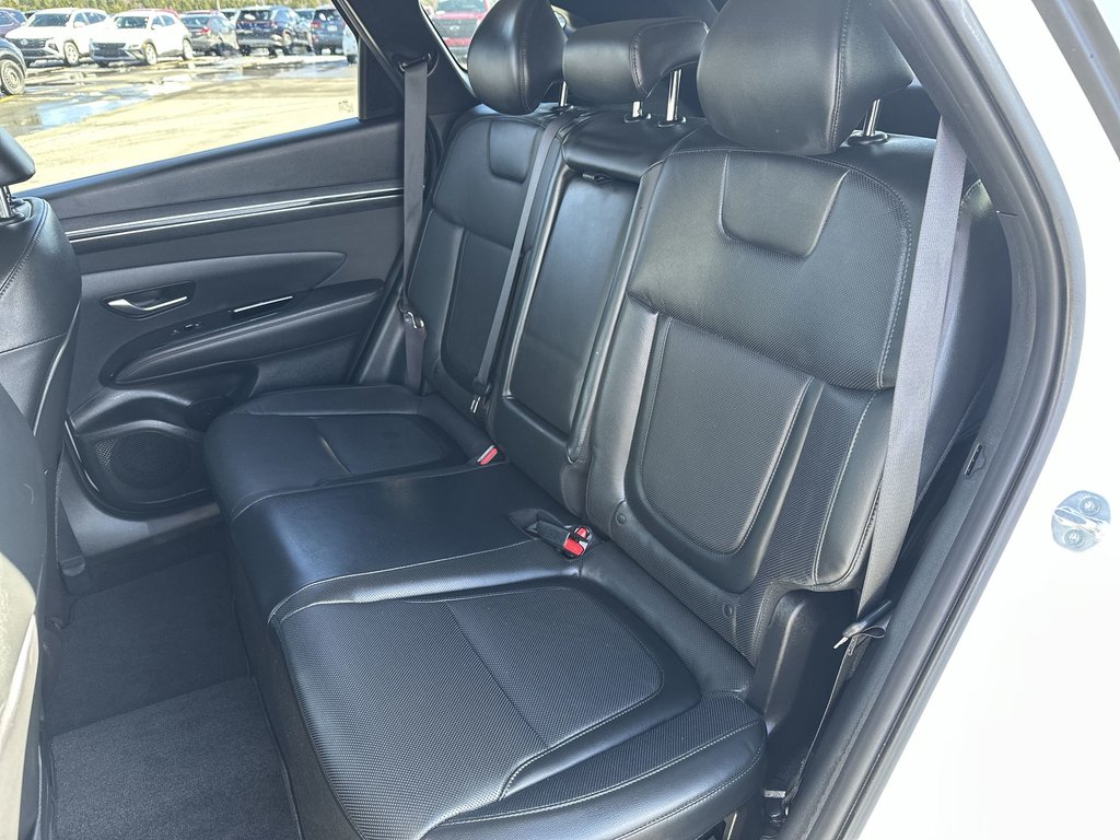 2023 Hyundai Tucson Hybrid Luxury | Roof | Cam | HtdSeat | Warranty to 2028 in Saint John, New Brunswick - 34 - w1024h768px