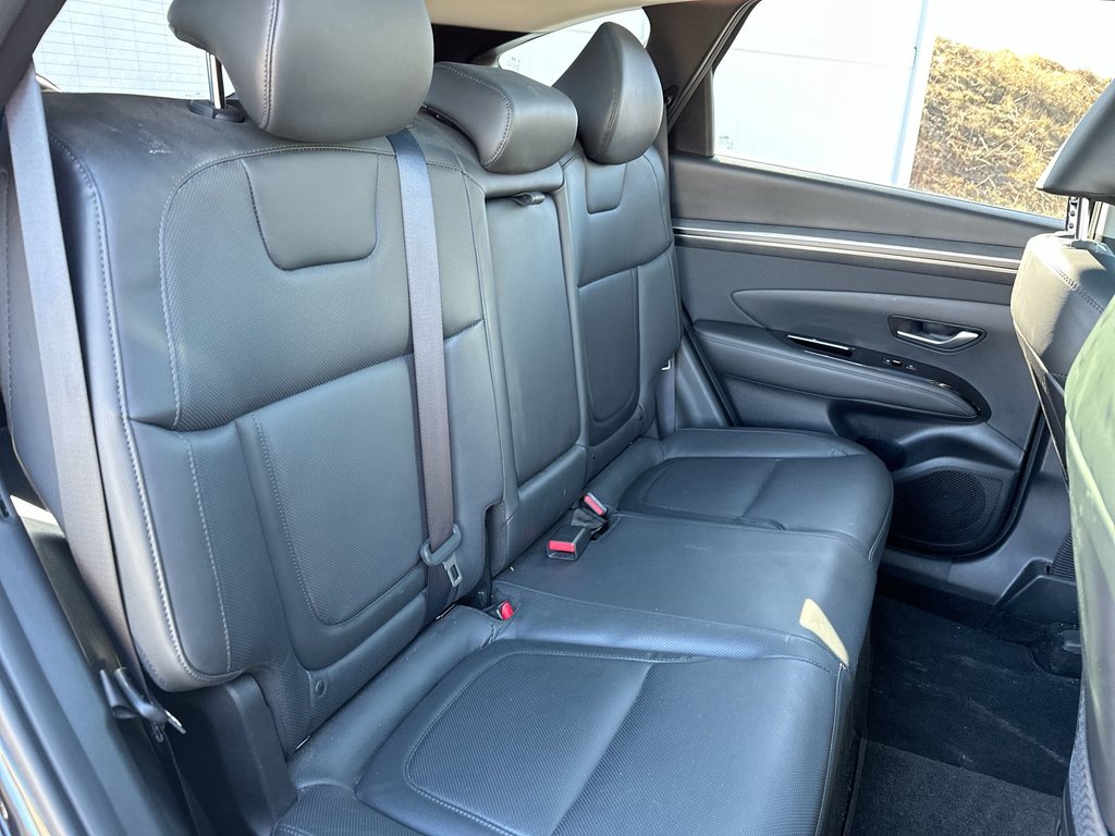 Hyundai Tucson Hybrid Ultimate | Roof | Lthr | Nav | Warranty to 2031 2023 à Saint John, Nouveau-Brunswick - 39 - w1024h768px