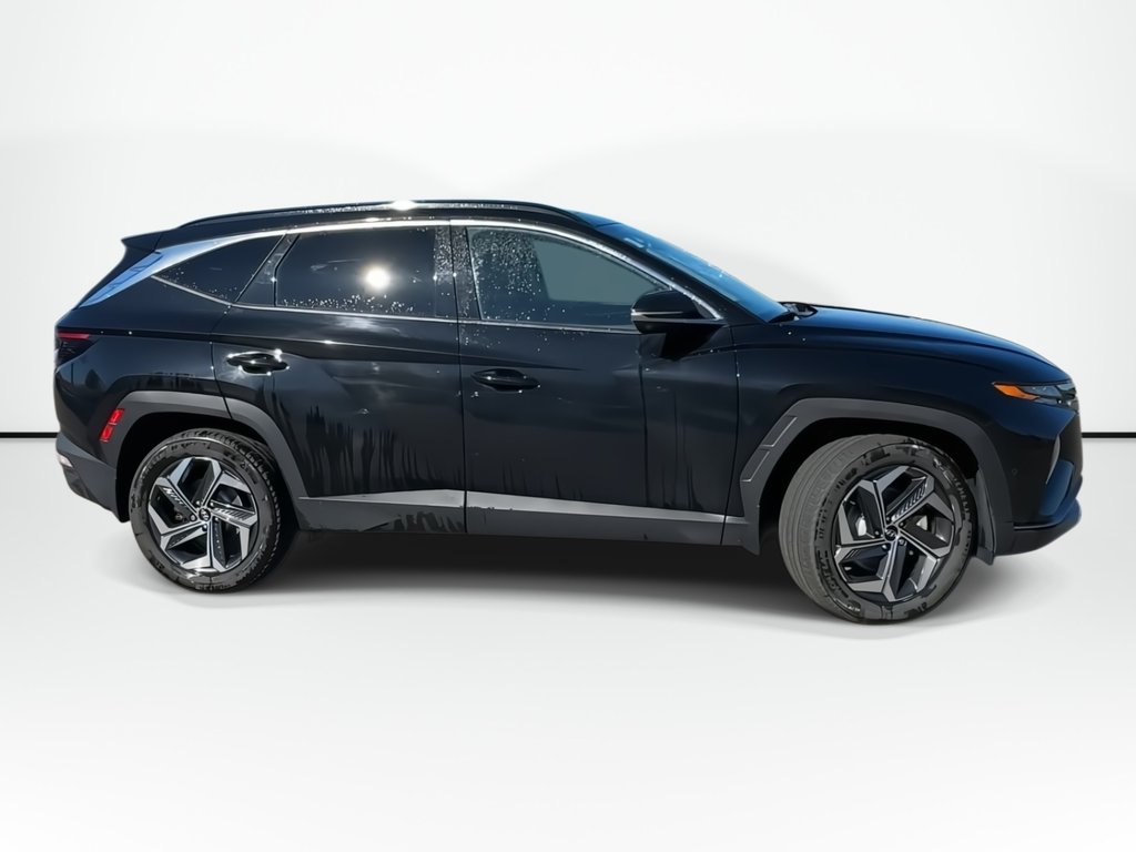 2023 Hyundai Tucson Hybrid Ultimate | Roof | Lthr | Nav | Warranty to 2031 in Saint John, New Brunswick - 9 - w1024h768px