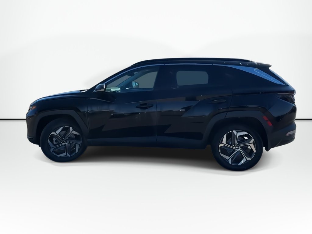 Hyundai Tucson Hybrid Ultimate | Roof | Lthr | Nav | Warranty to 2031 2023 à Saint John, Nouveau-Brunswick - 5 - w1024h768px