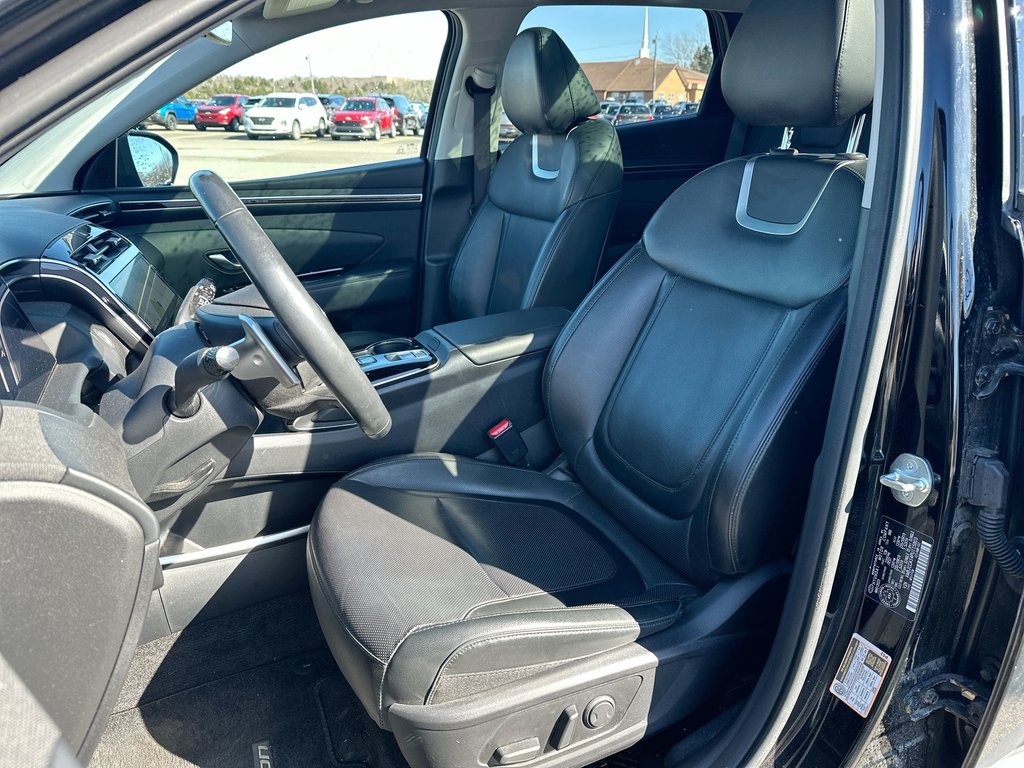 Hyundai Tucson Hybrid Ultimate | Roof | Lthr | Nav | Warranty to 2031 2023 à Saint John, Nouveau-Brunswick - 11 - w1024h768px