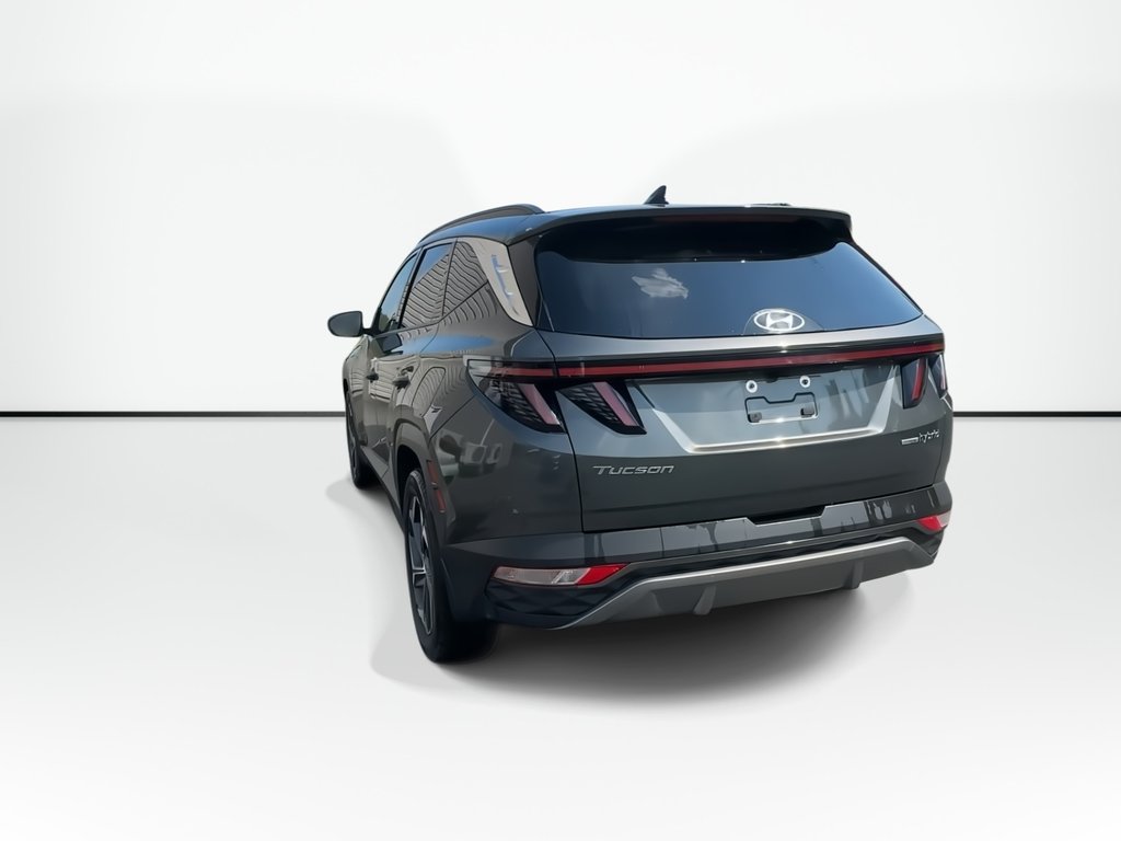 2023 Hyundai Tucson Hybrid in Antigonish, Nova Scotia - 7 - w1024h768px