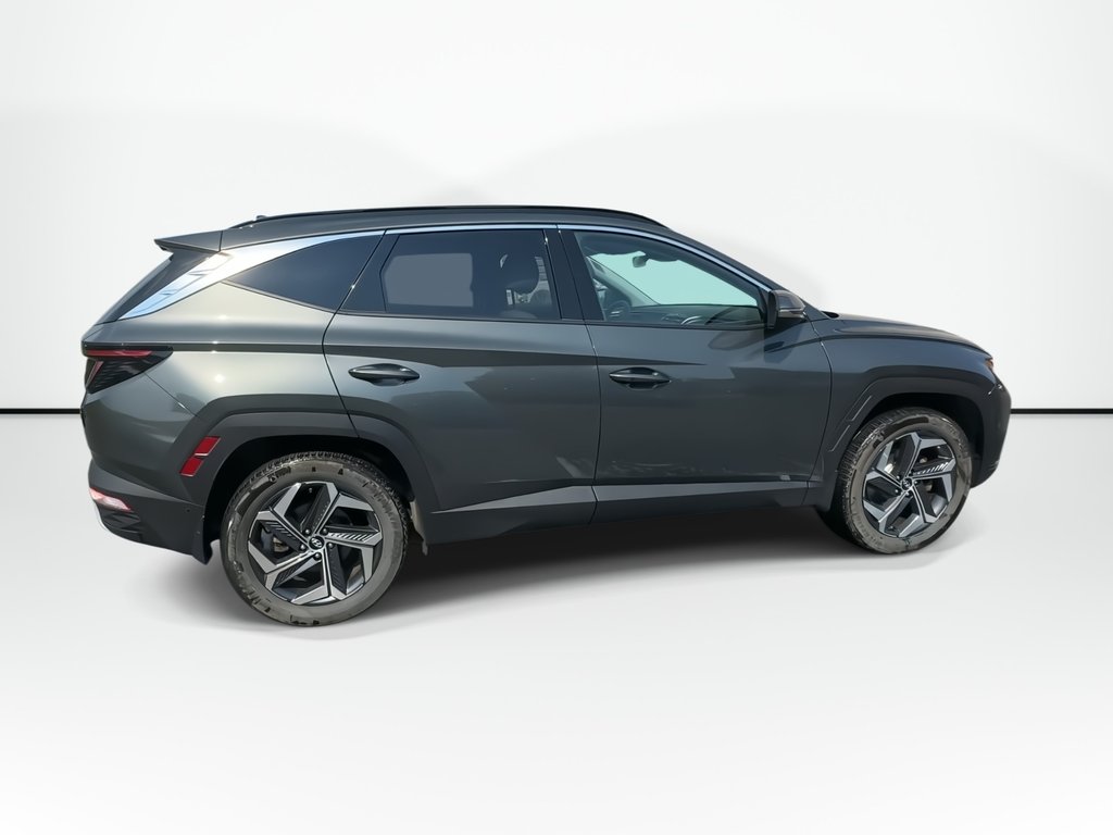 2023 Hyundai Tucson Hybrid in Antigonish, Nova Scotia - 9 - w1024h768px