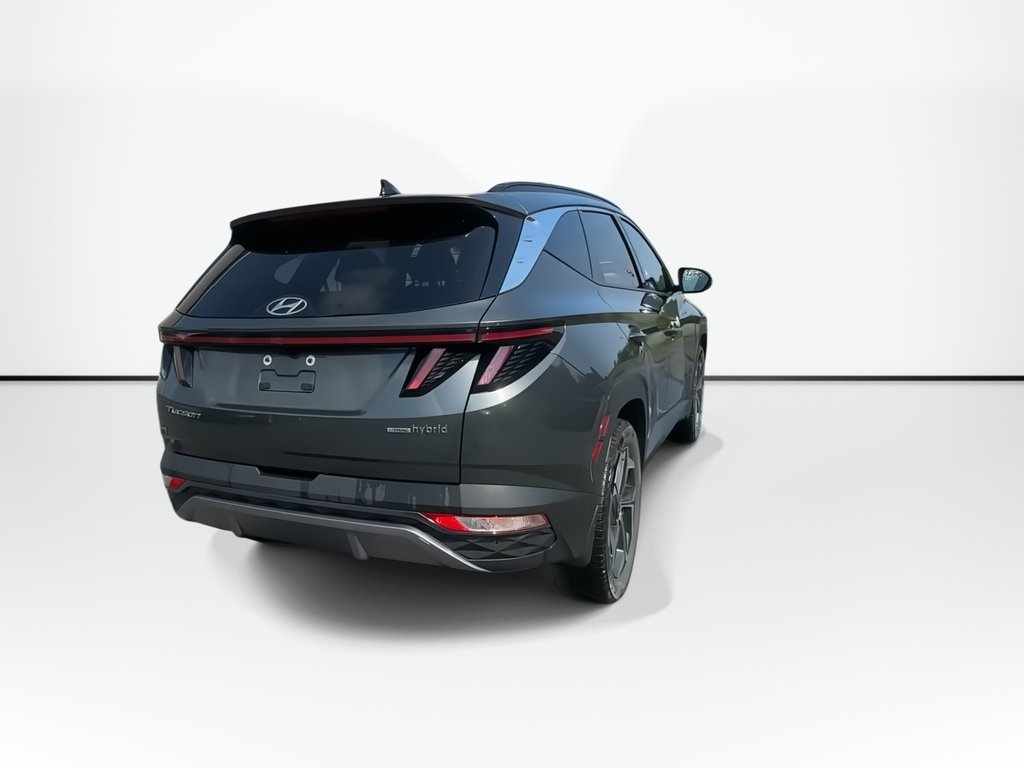 2023 Hyundai Tucson Hybrid in Antigonish, Nova Scotia - 8 - w1024h768px