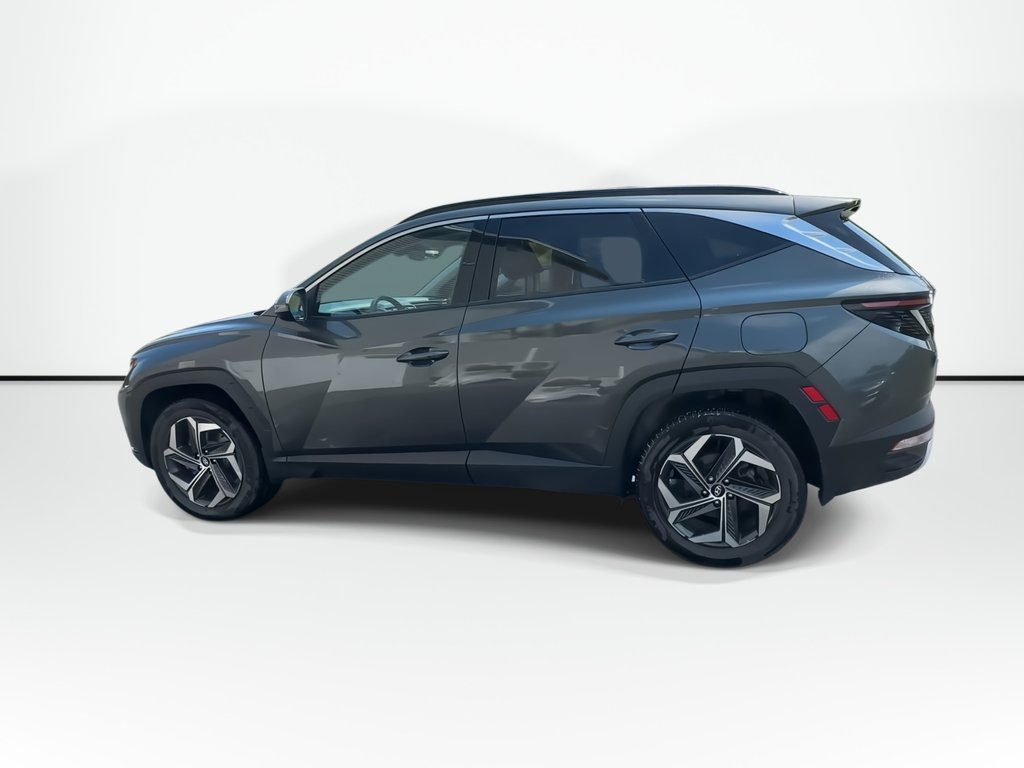 2023 Hyundai Tucson Hybrid in Antigonish, Nova Scotia - 6 - w1024h768px