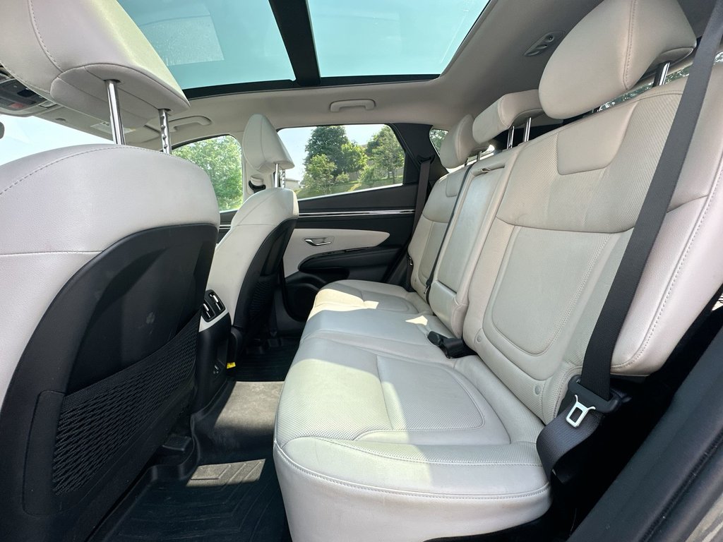 2023 Hyundai Tucson Hybrid in Antigonish, Nova Scotia - 34 - w1024h768px