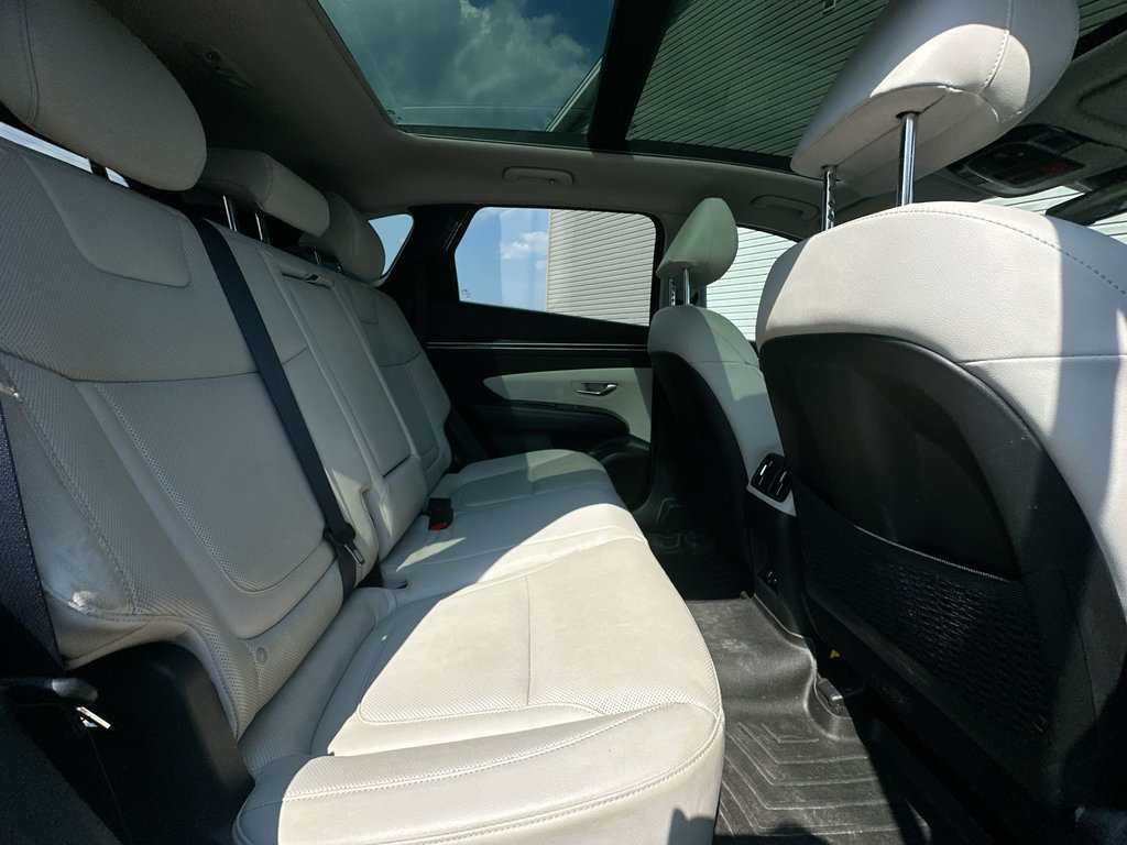 2023 Hyundai Tucson Hybrid in Antigonish, Nova Scotia - 40 - w1024h768px