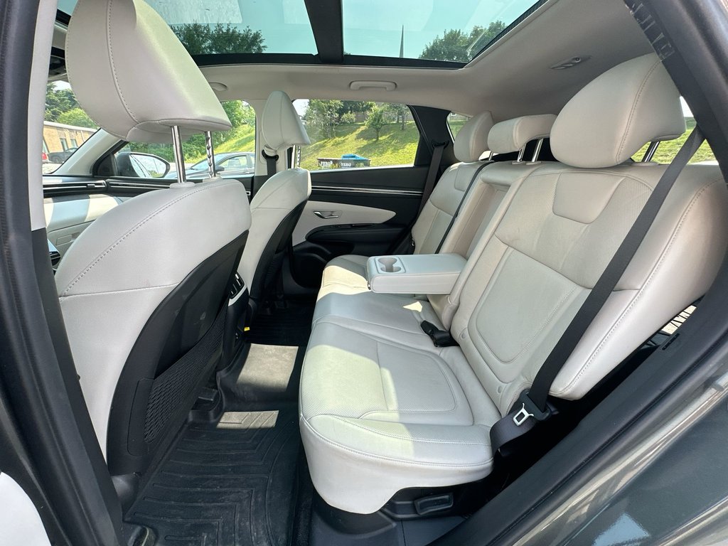 2023 Hyundai Tucson Hybrid in Antigonish, Nova Scotia - 33 - w1024h768px