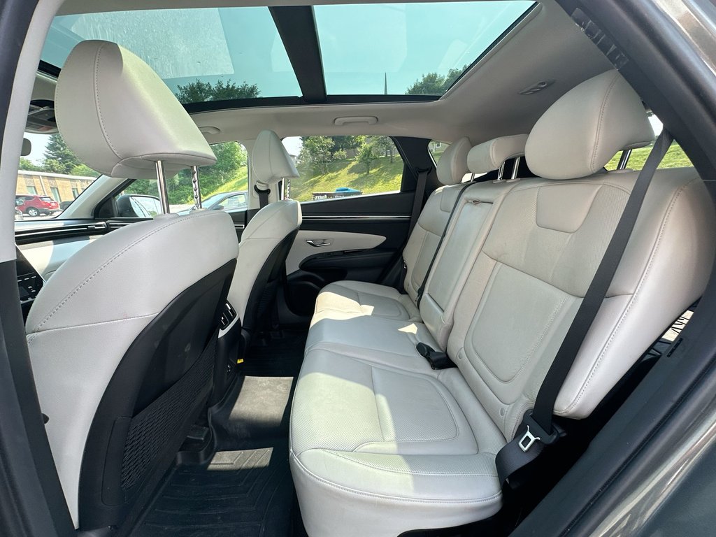 2023 Hyundai Tucson Hybrid in Antigonish, Nova Scotia - 32 - w1024h768px