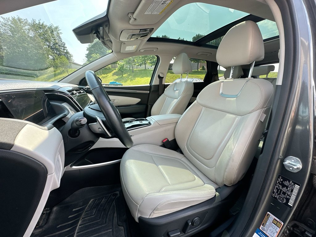 2023 Hyundai Tucson Hybrid in Antigonish, Nova Scotia - 11 - w1024h768px