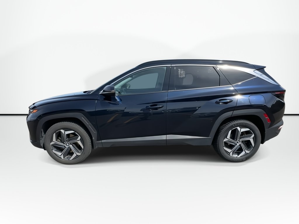 2023 Hyundai Tucson Hybrid Luxury | Roof | Lthr | HtdSeat | Warranty to 2031 in Saint John, New Brunswick - 5 - w1024h768px