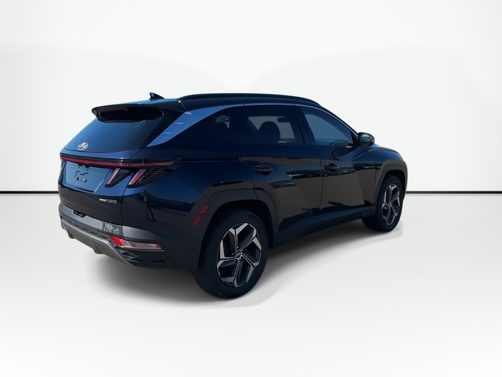 2023 Hyundai Tucson Hybrid Luxury | Roof | Lthr | HtdSeat | Warranty to 2031 in Saint John, New Brunswick - 2 - w1024h768px