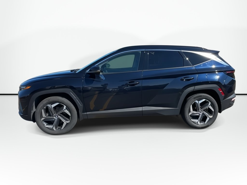2023 Hyundai Tucson Hybrid Luxury | Roof | Lthr | HtdSeat | Warranty to 2031 in Saint John, New Brunswick - 7 - w1024h768px