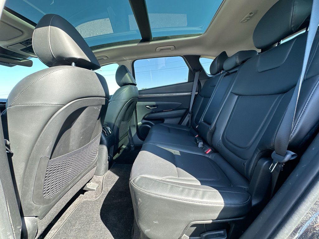 2023 Hyundai Tucson Hybrid Luxury | Roof | Lthr | HtdSeat | Warranty to 2031 in Saint John, New Brunswick - 34 - w1024h768px