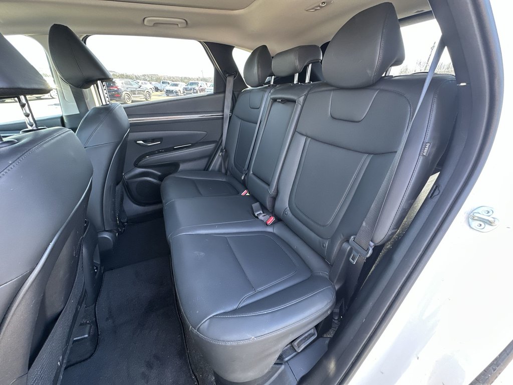 2024 Hyundai Tucson Hybrid Luxury | Roof | Cam | HtdSeat | Warranty to 2032 in Saint John, New Brunswick - 32 - w1024h768px