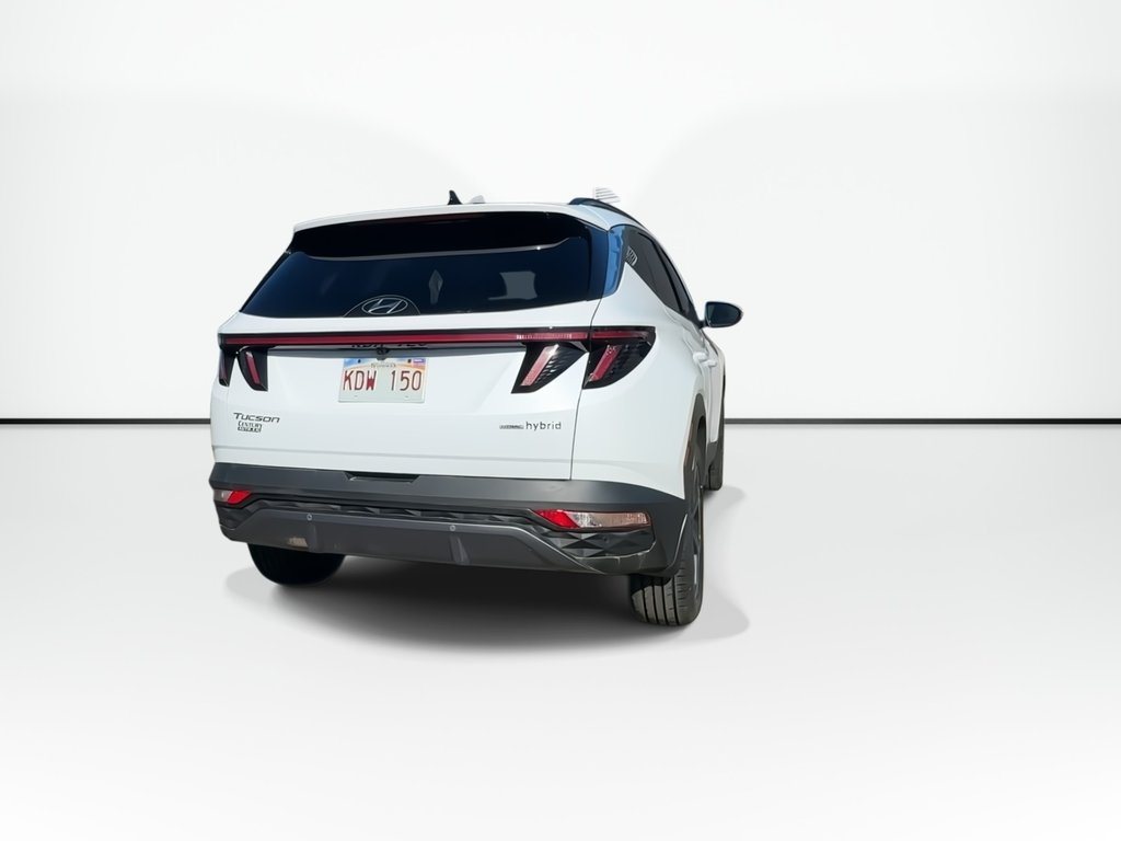 2024 Hyundai Tucson Hybrid Luxury | Roof | Cam | HtdSeat | Warranty to 2032 in Saint John, New Brunswick - 8 - w1024h768px