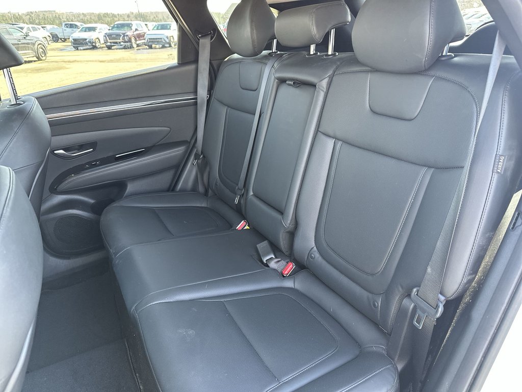 2024 Hyundai Tucson Hybrid Luxury | Roof | Lthr | HtdSeat | Warranty to 2032 in Saint John, New Brunswick - 34 - w1024h768px