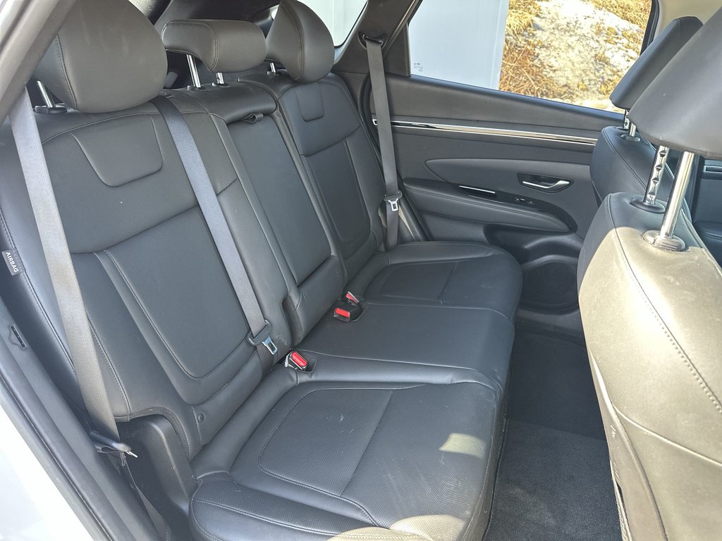 2024 Hyundai Tucson Hybrid Luxury | Roof | Lthr | HtdSeat | Warranty to 2032 in Saint John, New Brunswick - 40 - w1024h768px