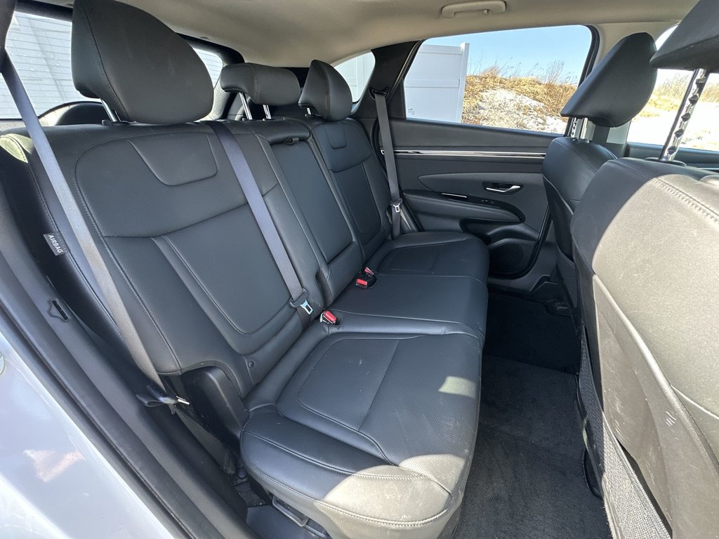 2024 Hyundai Tucson Hybrid Luxury | Roof | Lthr | HtdSeat | Warranty to 2032 in Saint John, New Brunswick - 39 - w1024h768px
