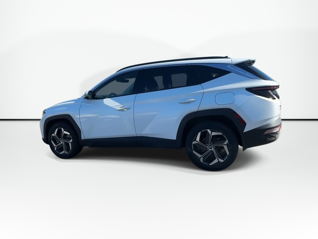 2024 Hyundai Tucson Hybrid Luxury | Roof | Lthr | HtdSeat | Warranty to 2032 in Saint John, New Brunswick - 6 - w1024h768px