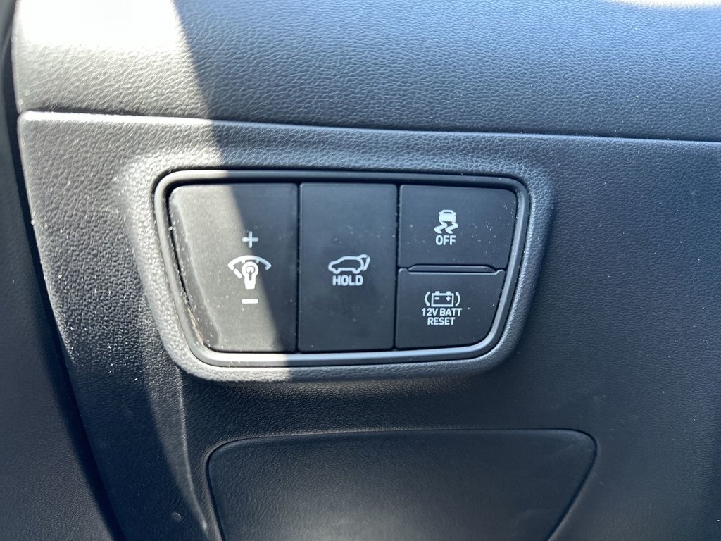 2024 Hyundai Tucson Hybrid Ultimate | Roof | Lthr | Bose | Warranty to 2031 in Saint John, New Brunswick - 22 - w1024h768px