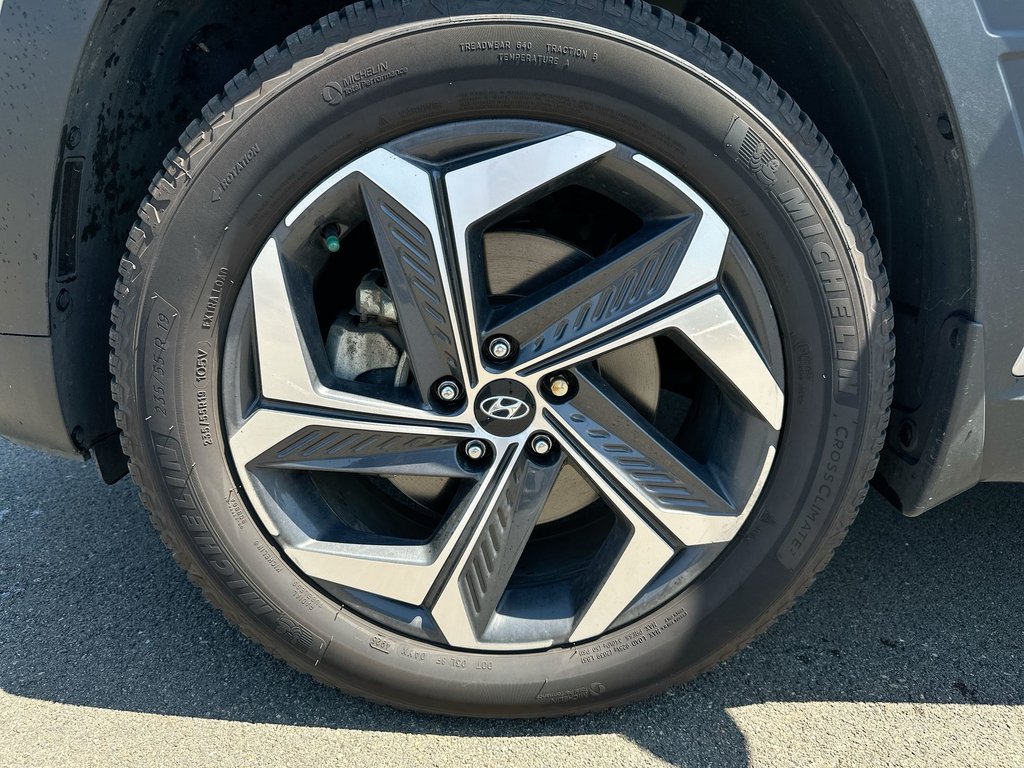 2024 Hyundai Tucson Hybrid Ultimate | Roof | Lthr | Bose | Warranty to 2031 in Saint John, New Brunswick - 10 - w1024h768px