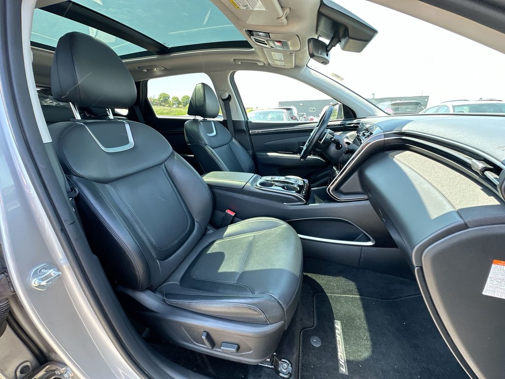2024 Hyundai Tucson Hybrid Ultimate | Roof | Lthr | Bose | Warranty to 2031 in Saint John, New Brunswick - 42 - w1024h768px