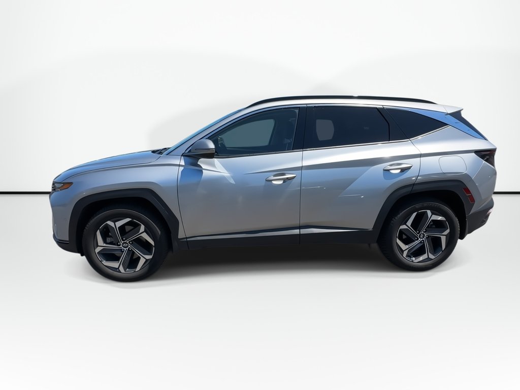 2024 Hyundai Tucson Hybrid Ultimate | Roof | Lthr | Bose | Warranty to 2031 in Saint John, New Brunswick - 7 - w1024h768px
