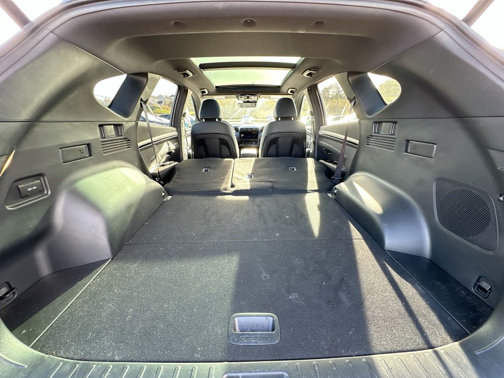 2024 Hyundai Tucson Hybrid N-Line | Lthr | Htd Whl | Roof | Warranty to 2028 in Saint John, New Brunswick - 37 - w1024h768px