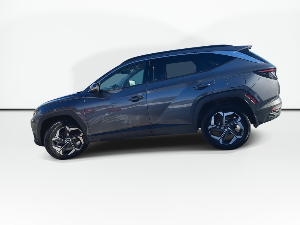 2024 Hyundai Tucson Plug-In Hybrid Ultimate | Cam | HtdSeats | Warranty to 2032 in Saint John, New Brunswick - 5 - w1024h768px
