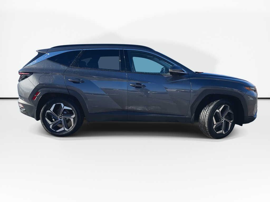 2024 Hyundai Tucson Plug-In Hybrid Ultimate | Cam | HtdSeats | Warranty to 2032 in Saint John, New Brunswick - 9 - w1024h768px
