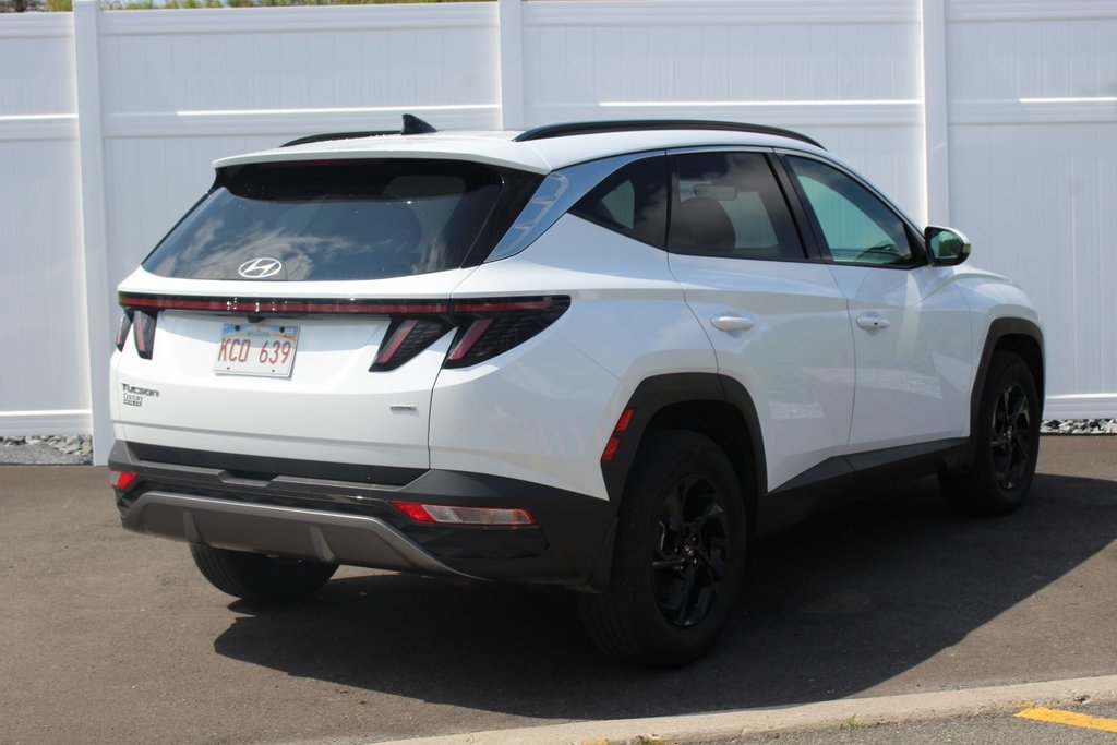 2023 Hyundai Tucson Trend | Lthr | SunRoof | Cam | Warranty to 2028 in Saint John, New Brunswick - 7 - w1024h768px