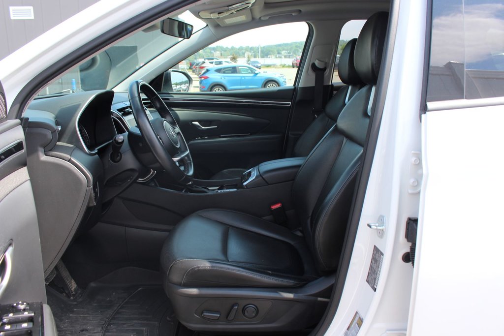 2023 Hyundai Tucson Trend | Lthr | SunRoof | Cam | Warranty to 2028 in Saint John, New Brunswick - 12 - w1024h768px