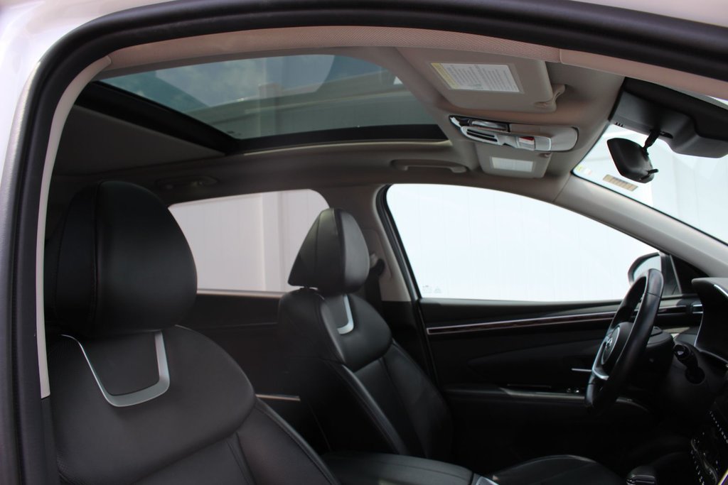 2023 Hyundai Tucson Trend | Lthr | SunRoof | Cam | Warranty to 2028 in Saint John, New Brunswick - 30 - w1024h768px