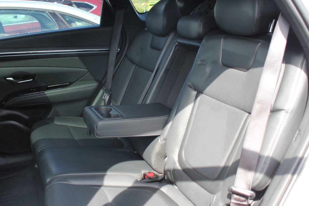 2023 Hyundai Tucson Trend | Lthr | SunRoof | Cam | Warranty to 2028 in Saint John, New Brunswick - 45 - w1024h768px