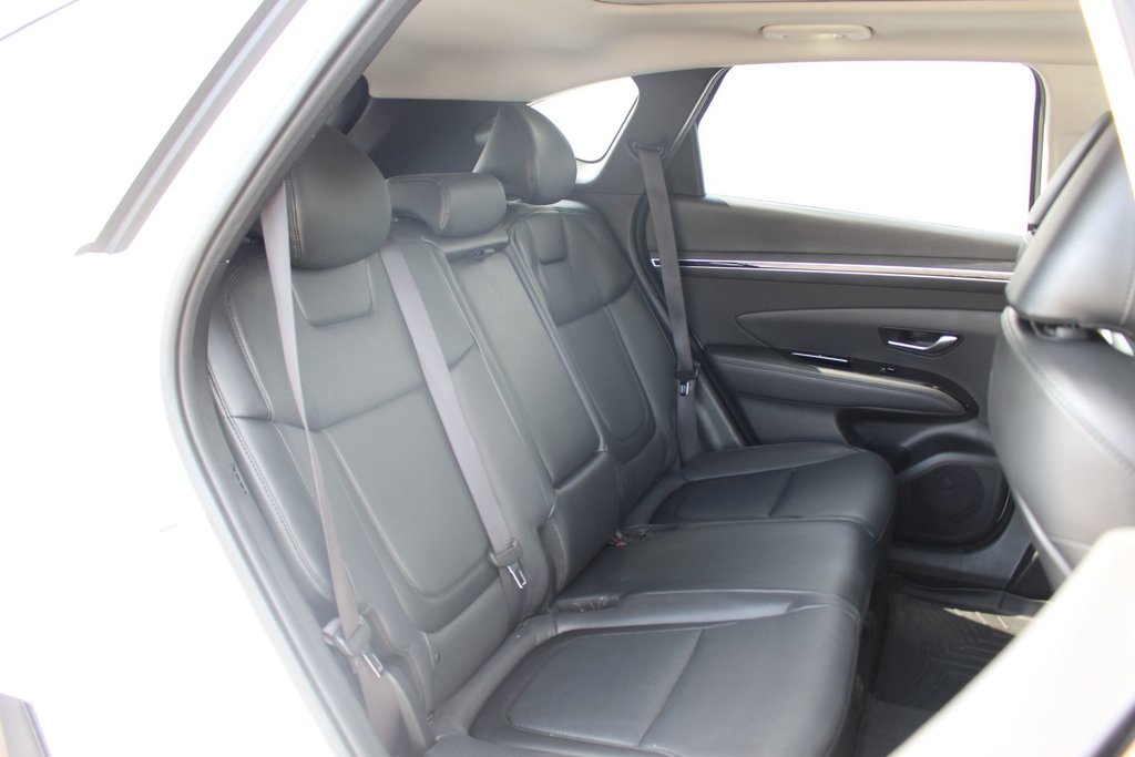 2023 Hyundai Tucson Trend | Lthr | SunRoof | Cam | Warranty to 2028 in Saint John, New Brunswick - 21 - w1024h768px